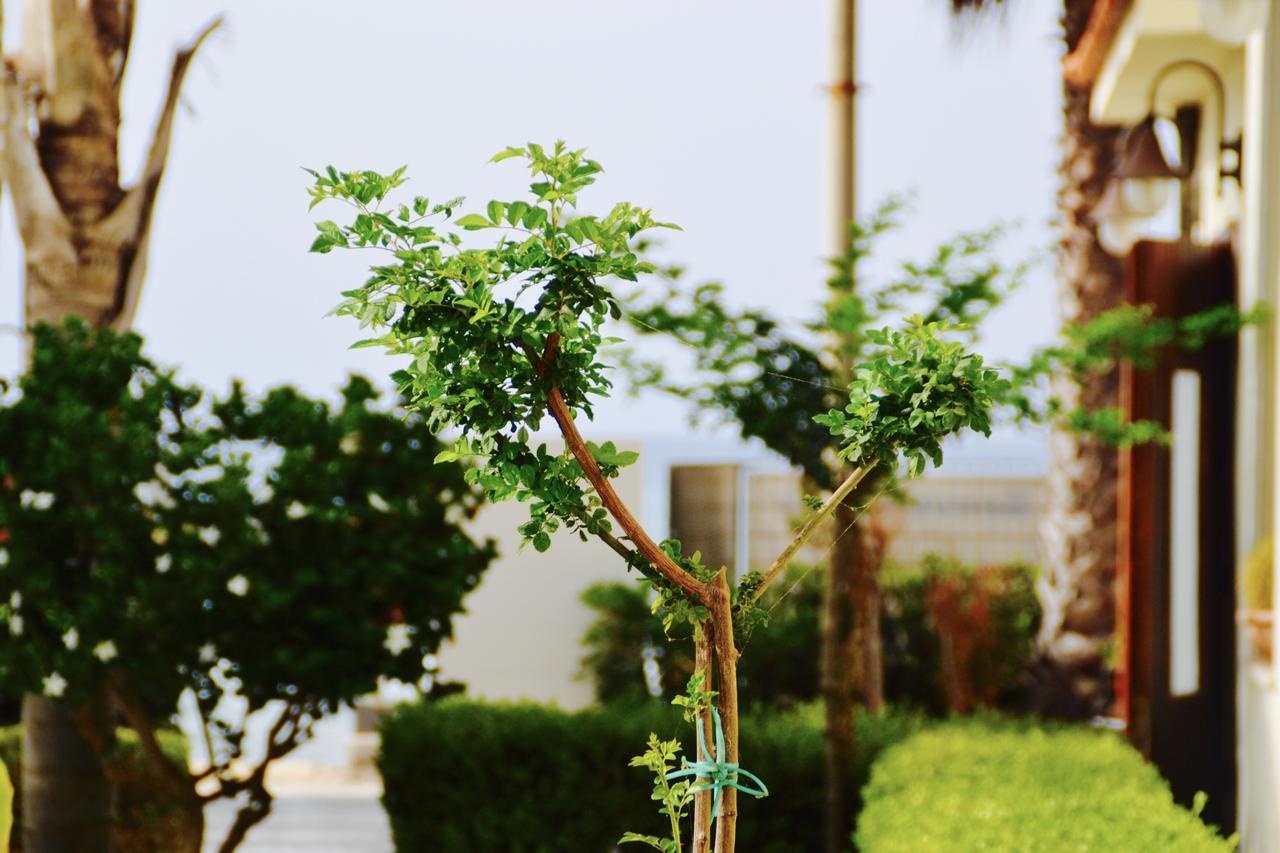 إيسبيكا Caposud Residence And Beach Club المظهر الخارجي الصورة