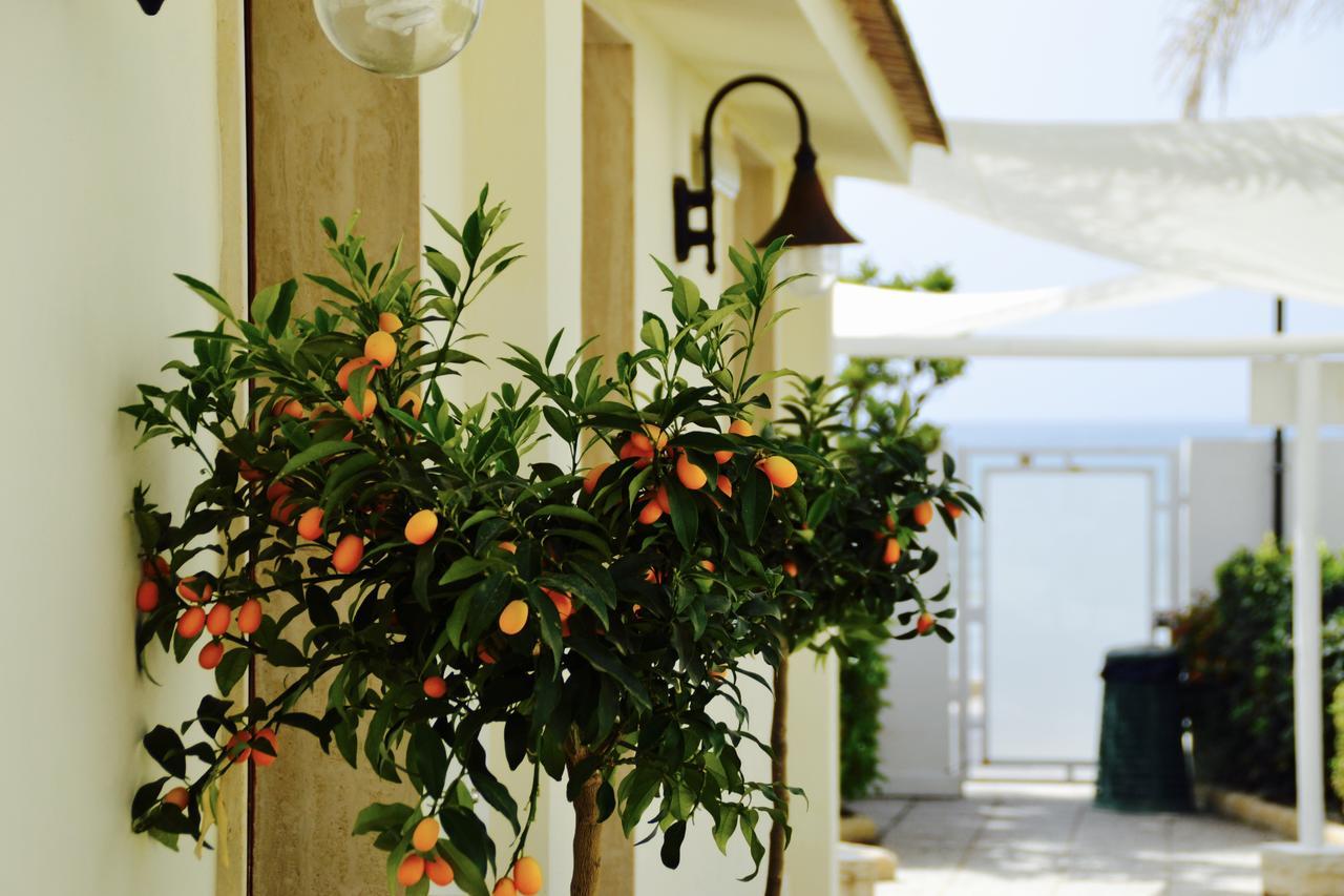 إيسبيكا Caposud Residence And Beach Club المظهر الخارجي الصورة